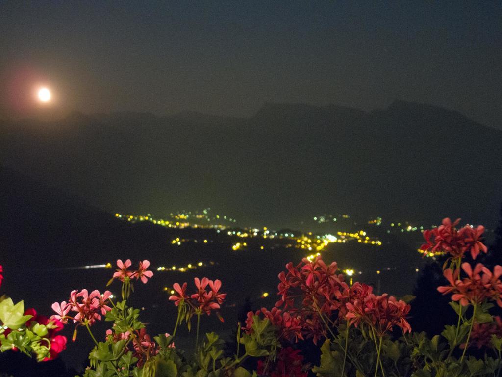 B&B Alba Sul Lago Pergine Valsugana Kültér fotó