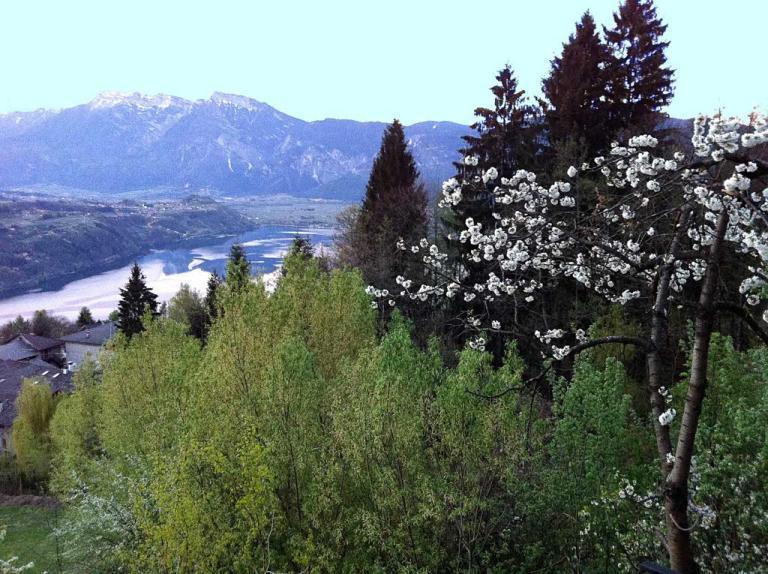 B&B Alba Sul Lago Pergine Valsugana Kültér fotó