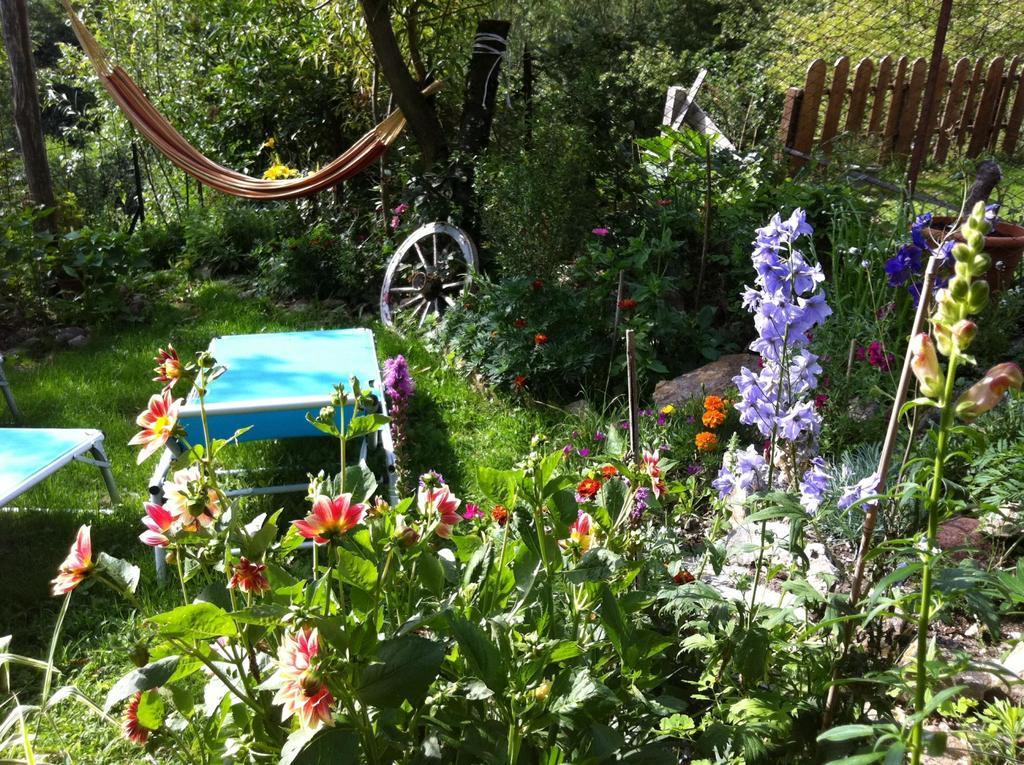 B&B Alba Sul Lago Pergine Valsugana Kültér fotó